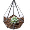 HERCHR Terrarium en Forme géométrique, Terrarium de Table en Verre Pot de Fleurs pour Plantes, Fleurs, Mousse, fougère, Claire