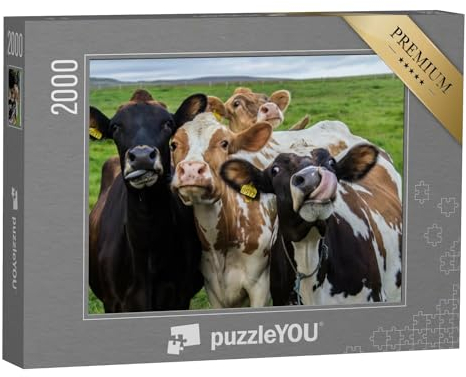 puzzleYOU: Puzzle 2000 Teile „Vier lustige Kühe schauen in die Kamera“ – aus der Puzzle-Kollektion Kühe & Kälber
