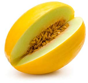 Viridis Hortus - Honeydew Melon 10 x Vegetable/Fruit Seeds Ideal for Greenhouse or Polytunnel