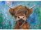 EOBROMD Highland Cattle Diamond Art, 5D Diamond Painting Kits for Adults, Full Round Drill Diamond Art Kits, Animal Crystal Art Kits for Home Wall Decor Gifts 30x40 cm