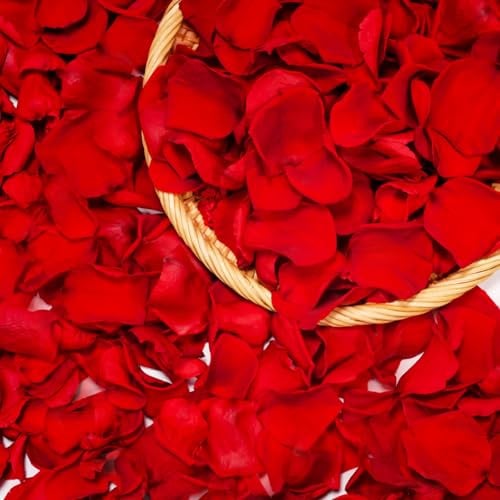 Petali di Rosa San Valentino per Lei, Rosa Eterna Proposta di Matrimonio Decorazione di Fidanzamento per Romanticismo, Decorazione di Nozze Anniversario Natale, Rose Rosse Idee Regalo Donna Compleanno