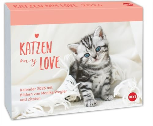 Katzen my love - Tagesabreißkalender 2026 - Heye-Verlag - Tischkalender mit täglich neuen Katzen Bildern und inspirierenden Zitaten - 14 cm x 11 cm