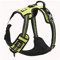 TrueLove Dog Harness TLH5651 No-pull Reflective Stitching Ensure Night Visibility, Outdoor Adventure Big Dog Harness Perfect Match Puppy Vest (Neon Yellow,M)