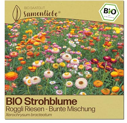 Samenliebe BIO Strohblumen Samen | bunte Trockenblumen Mischung - Roggli Riesen - samenfestes BIO Saatgut