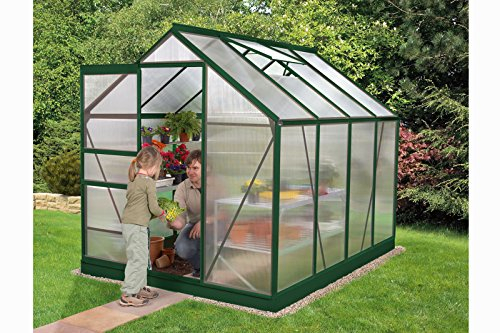 Vitavia Gewächshaus Venus 5000 HKP 4mm 5 m², dunkelgrün