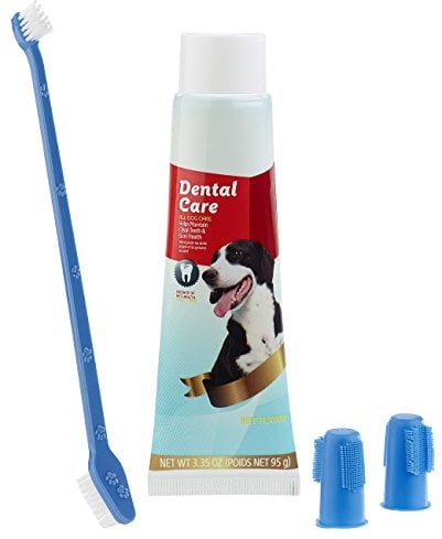 Sweetypet Hundezubehör: 4in1-Zahnpflege-Set für Hunde mit Zahnpasta, Zahnbürste, Fingerbürsten (Hundezahnbürste, Zahnreinigung Hund, Zahnbürsten)