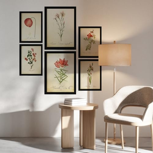 Nacnic Rote Blumen Postern. Vollfarbige Natur- und Botanikdrucke mit Blumenmotiven im Vintage Papier Stil. Innenarchitektur und Dekoration. A4 & A3 Schwarze Rahmen.