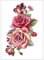 5 Images Tatouage Ephemere Peau De Rose - Tatouage Ephemere Temporaire Coloré