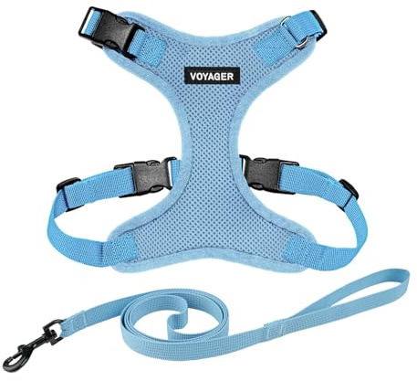 Voyager Step-in Lock Katzengeschirr und reflektierende Katzenleine mit Neoprengriff by Best Pet Supplies - Unterstützt kleine, mittelgroße und große Katzenrassen, Babyblau, size S - 1,5 m