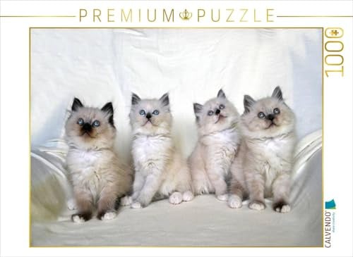 CALVENDO Puzzle Heilige Birma Katzen | 1000 Teile Lege-Größe 64 x 48 cm Foto-Puzzle für glückliche Stunden