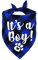 STMK It's A Boy Hundehalstuch, kariert, Schwangerschaftsankündigung, Hundehalstuch, Baby-Ankündigung, Hundehalstuch, Geschlechtsoffenbarung, Foto-Requisite für Hunde, Blau