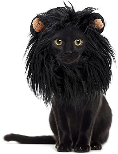 Camidy Lion Perücke Kostüm für Hund Katze Schwarz Löwe Mähne Kopfbedeckungen mit Nachahmung Ohren Pet Halloween Cosplay Weihnachten Party Fotografie Requisiten