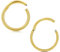 Crdifu Gold Helix Tragus Septum Clicker 8mm Ring 16G Edelstahl Segmentring Ohrknorpel Nase Piercing Ring