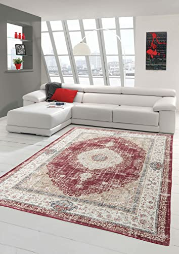 Teppich-Traum Klassisch orientalischer Teppich mit schönen Pflanzen Verzierungen & Blumen Ornamenten in rot Creme beige Gold Größe 160x230 cm
