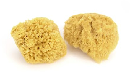 Neptune Caribbean Sea Sponge 2-Pack, Small, Approx. 4-5 in, Exfoliating