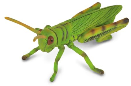 CollectA Grasshopper, Insect Figure | Realistic Collectable Animal Figure for Imaginative Play, Gift for Kids Age 3+