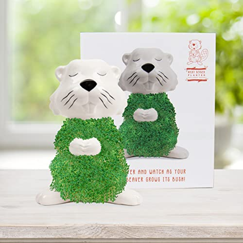 Gift Republic - Biber Pflanztier | Der Keramik Biber zum Chia Samen Züchten | Anzuchtschale in Biber Form | Chia Seeds Starter Kit | Beaver Plant Set | Geschenk an Weihnachten, Geburtstag
