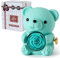 Ariceleo Azzurro Orsetto Romantico con Rosa Preservata, Vera Rosa nel Peluche, Elegante Scatola Regalo Collana a Forma di Cuore, Regalo Romantico Perfetto per San Valentino Festa della Mamma Matrimoni