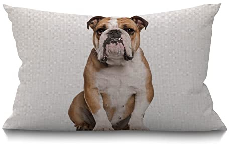BGBDEIA Bulldog Cushion Cover English Bulldog Sitting Against White Background Cotton Linen Decorative Rectangular Throw Pillow Cover Pillowcase for Sofa and Bed Couch 12X20 30 x 50 cm