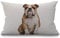 BGBDEIA Bulldogge Kissenbezug Englische Bulldogge Sitzend vor weißem Hintergrund Baumwolle Leinen Dekorativer rechteckiger Wurfkissenbezug Kissenbezug für Sofa und Bett, Couch, 30 x 50 cm