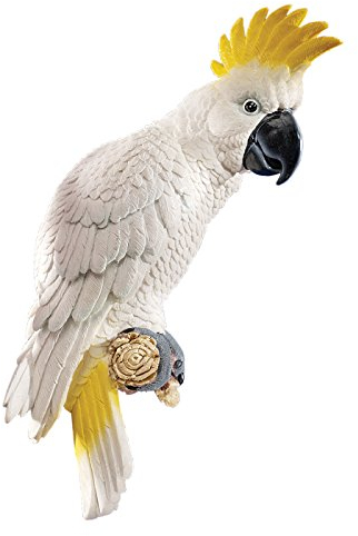Design Toscano Citron Cockatoo Bird Tropical Decor Wall Sculpture, 35.5 cm, Polyresin, Full Colour
