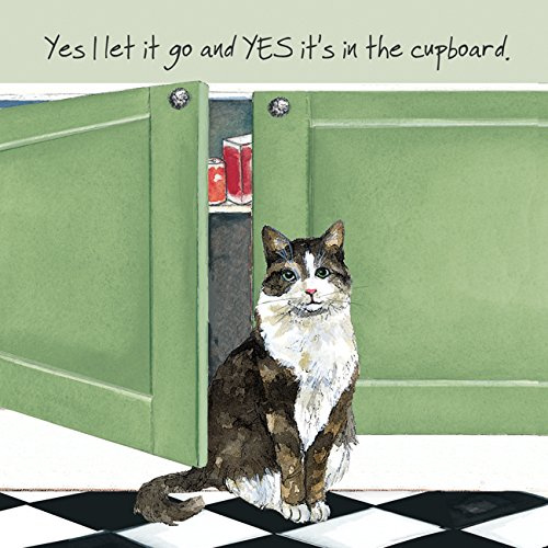 Black and White Cat Blank Birthday Card - Mouse (SQD51)