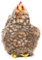 Hansa Animal Plüschtier Huhn Brutmaschine