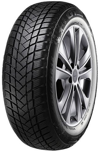 GT-RADIAL - 195/65 R15 TL 91H CHAMPIRO WINTERPRO2 M+S 3PMSF - Winterreifen