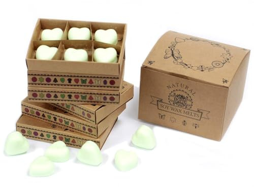 Ancient Wisdom Box of 6 packs Wax Melts - Brandy Butter