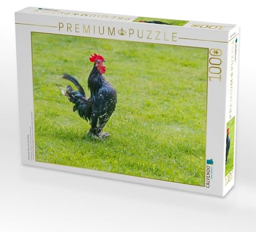 CALVENDO Puzzle Krähender Hahn auf Einer Wiese | 1000 Teile Lege-Größe 64 x 48 cm Foto-Puzzle für glückliche Stunden