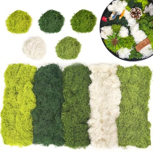 ROLLWAY 200g Kunstmoos zum Dekorieren, 5 Farben x 40G Kunstmoos Zum Basteln Künstliches Moos Deko Kunst Moos Fake Dekomoos Bastelmoos für Wand Krippe Aquarium Krippe Modellbau Grün und Weiß
