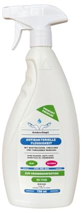 Hygiene Hand-Desinfektionsmittel – Für unterwegs & Zuhause – Ohne Wasser anwendbar, schnelltrocknend & hautschonend – Mit pflegender Formel (750ml)