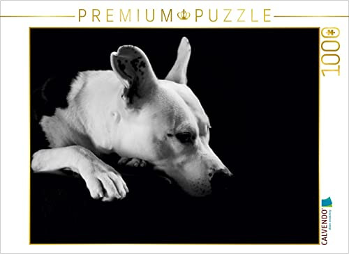 CALVENDO Puzzle Cheyenne - American Stafford x Dogo Argentino-Mix, 2 Jahre | 1000 Teile Lege-Größe 64 x 48 cm Foto-Puzzle für glückliche Stunden