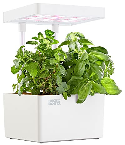 Back to the Roots v1.0 Hydroponic Grow Kit, 2022 Model