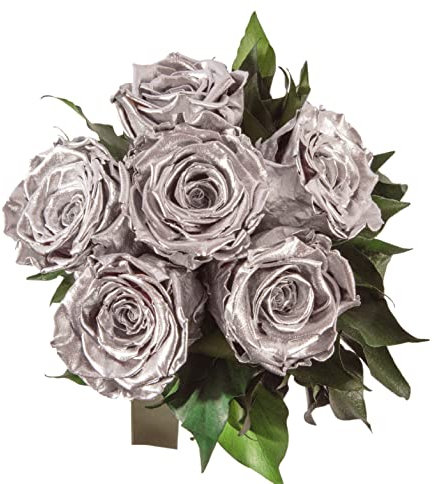 Infinity Blumenstrauß echte konservierte Rosen Lange haltbar bis zu 3 Jahre (6 Rosen, Silber)