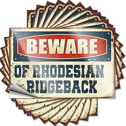 Aufkleber für Autos, Aufschrift Beware of Rhodesian Ridgeback, lustig, 10 Stück, Autoaufkleber (Größe: 6 x 9 cm)