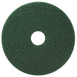 TASKI Americo Pad 21 (53 cm) Grün, Scheuerpad zur Nass- oder Trockengrundreinigung | Packung (1 Stück)