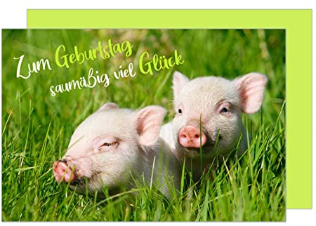Edition Seidel Premium Geburtstagskarte mit Umschlag. Glückwunschkarte Grusskarte Billet Happy Birthday Mann Frau Kind Zum Geburtstag saumäßig viel Glück Ferkel Karte (G3221 SW023)