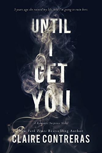 Until I Get You (Fairview Hockey Book 1) (English Edition)
