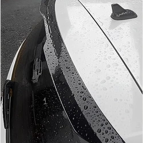 TXCDF Auto Kofferraum Heckspoiler für BMW Serie 1 Series 1er F40 2019-2024,ABS Heckflügel Spoiler Wing Heckflosse Kratzfeste Dachspoiler Dachkantenspoiler Dekoration Zubehör,A