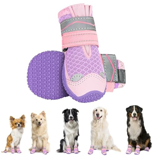Eyein Hundeschuhe Pfotenschutz, 2 Stück atmungsaktiv Hundeschuhe mit Rutschfester Sohle und reflektierendem Klettverschluss für kleine, mittlere und große Hunde, Sport im Freien, Lila, Größe 3