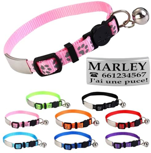 Collier Chat Personnalisé avec Gravure (Rose)