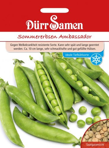 Dürr-Samen - Sommererbsen Ambassador Saatgut