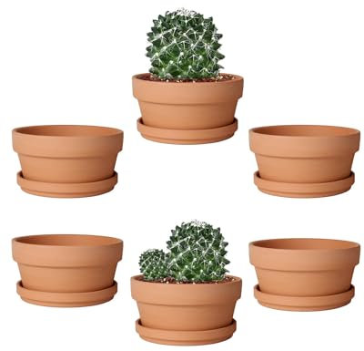 Vensovo Terrakotta-Sukkulententopf, Flach, 14 cm, 6 Stück, Tontöpfe Mit Untersetzer, Kakteen-Pflanzgefäße für Drinnen und Draußen, Mit Ablaufloch