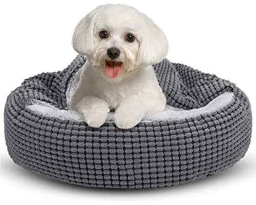 JOEJOY Hundebett Kleine Hunde, Katzenbett Rund mit Decke, Hundekorb Waschbar Flauschig, Hundebetten für Katzen und Kleine Hunde, 59x59x15cm
