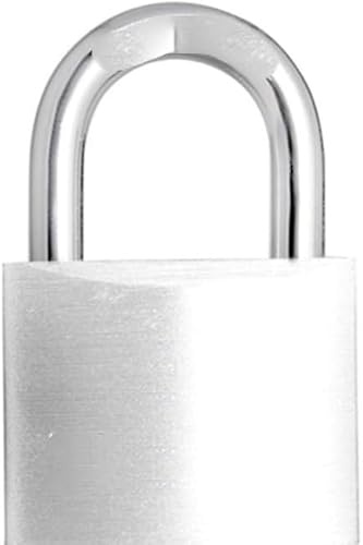 Serrure à cylindre Cadenas à clé en acier et serrure extérieure, 20 x 35 mm, 30 47, 40 90, avec 2 clés(20x35mm)