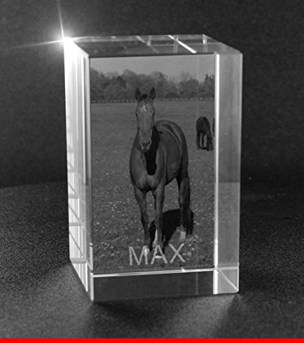 VIP-LASER 2D Gravur Glas Kristall Quader im Hochformat L mit dem Foto von Deinem Pferd. Dein Wunschfoto für die Ewigkeit Mitten in Glas! Groesse L = 60x40x40mm