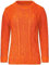 AJFASHION Women Jumpers New Ladies Long Sleeve Chunky Cable Knitted Jumper Crew Neck Winter Sweater Top UK Size 8-22 Orange