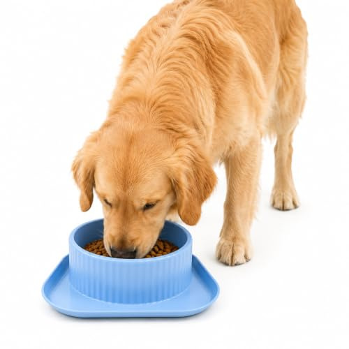Large Dog Food Bowl, Durable Plastic, Non-Slip Base, Easy to Clean, for Small, Medium and Large Dogs (Blue)