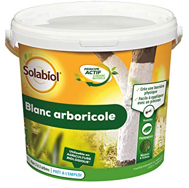 SOLABIOL Protection des Arbres Blanc Arboricole - seau 1L - Barrière physique contre les parasites, des champignons, mousses - 2 à 3 arbres SOBLANC3